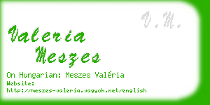 valeria meszes business card